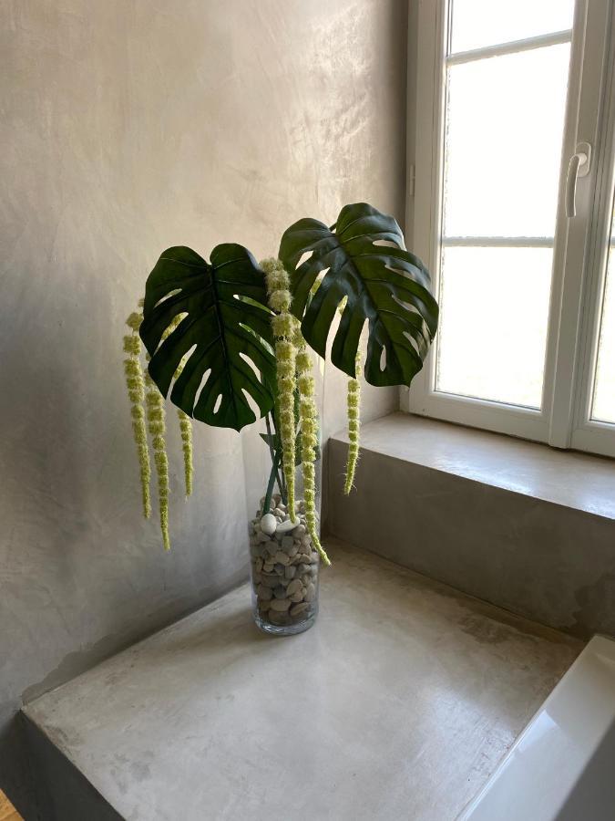 Apartmán Le Logis Gout Carcassonne Exteriér fotografie